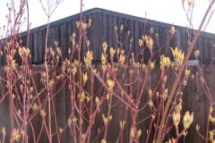 Gulval Farm Cottages - The Flower Box