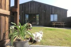 Gulval Farm Cottages - The Lily Pad - Garden